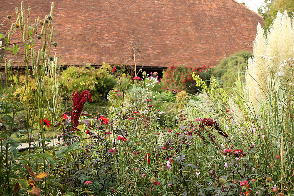 060_IMG_0030 - Great Dixter garden, autumn 2019