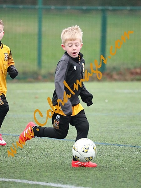 B_073 - Action: Group B: Burgess Hill Blacks, Cuckfield Cosmos, Maidenbower Colts, Three Bridges Blacks