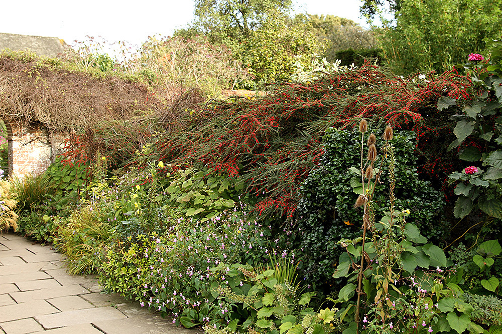 115_IMG_0042 - Great Dixter garden, autumn 2019