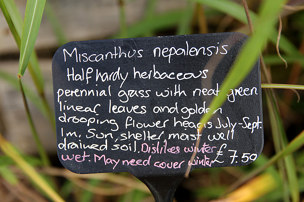 330_IMG_0024 - Great Dixter garden, autumn 2019