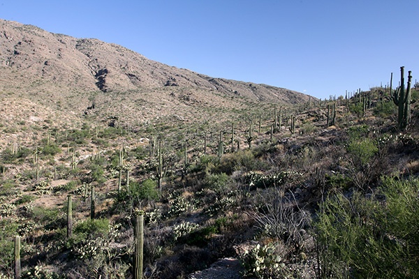 RT5B7143 - California and Arizona 2010