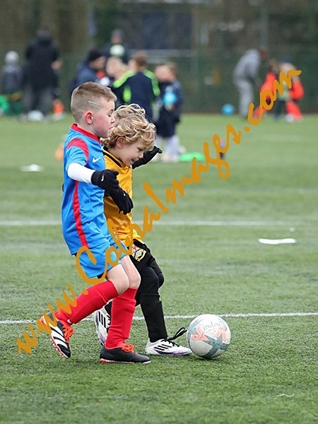 A_202 - Action: Group A: Burgess Hill White, Cuckfield United, Oakwood, Three Bridges Ambers