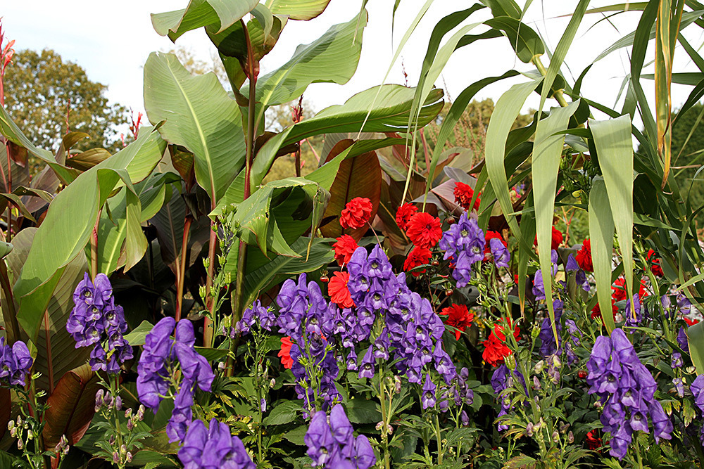 210_IMG_0069 - Great Dixter garden, autumn 2019