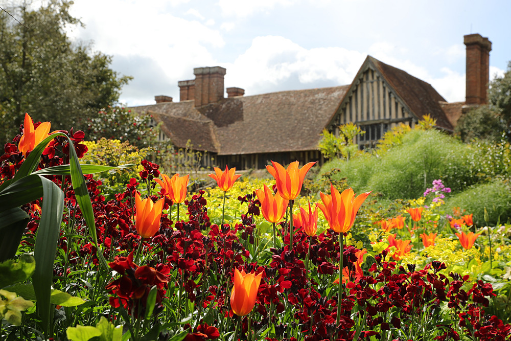 AW1I5165 - Great Dixter April 2024