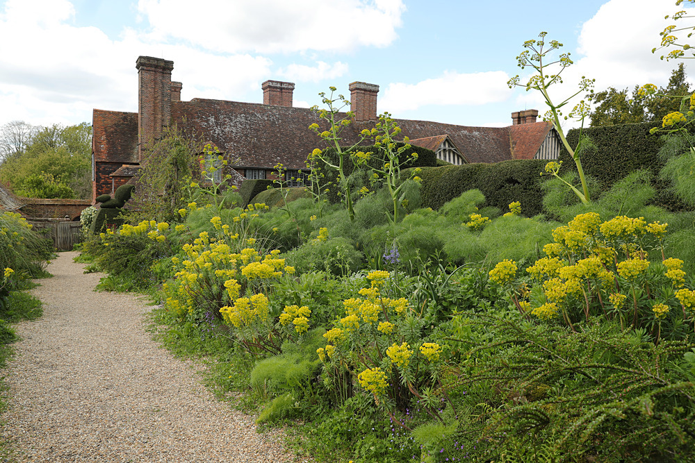 AW1I5173 - Great Dixter April 2024