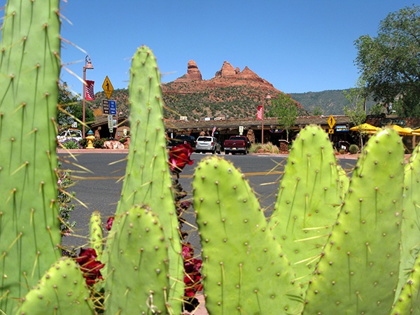IMG_1593 - California and Arizona 2010