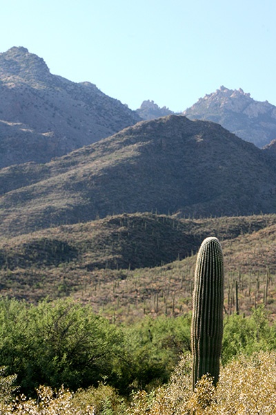 RT5B7221 - California and Arizona 2010