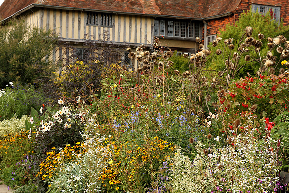180_IMG_0060 - Great Dixter garden, autumn 2019
