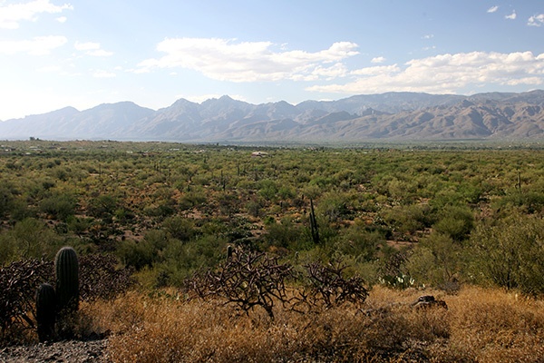RT5B7142 - California and Arizona 2010