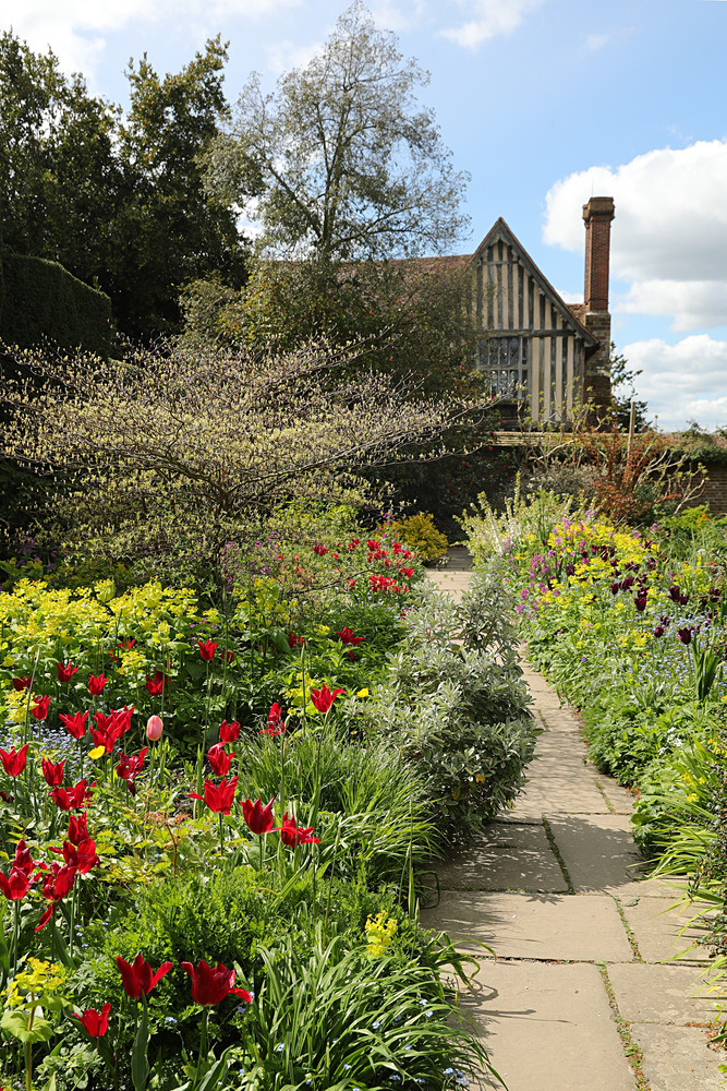 AW1I5152 - Great Dixter April 2024