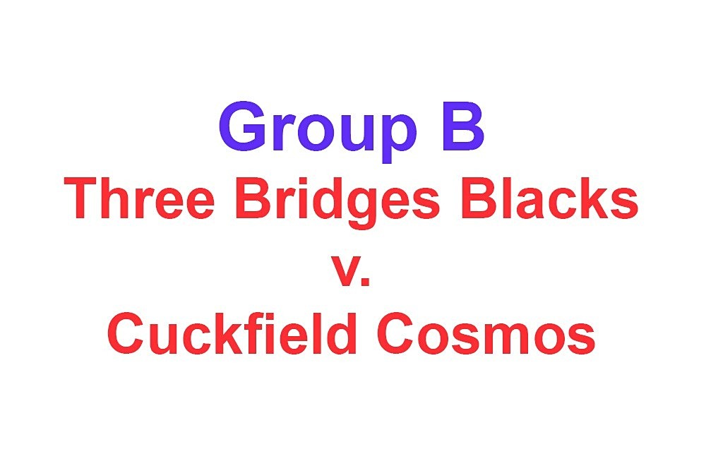  - Action: Group B: Burgess Hill Blacks, Cuckfield Cosmos, Maidenbower Colts, Three Bridges Blacks