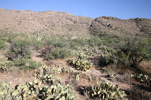 RT5B7149 - California and Arizona 2010