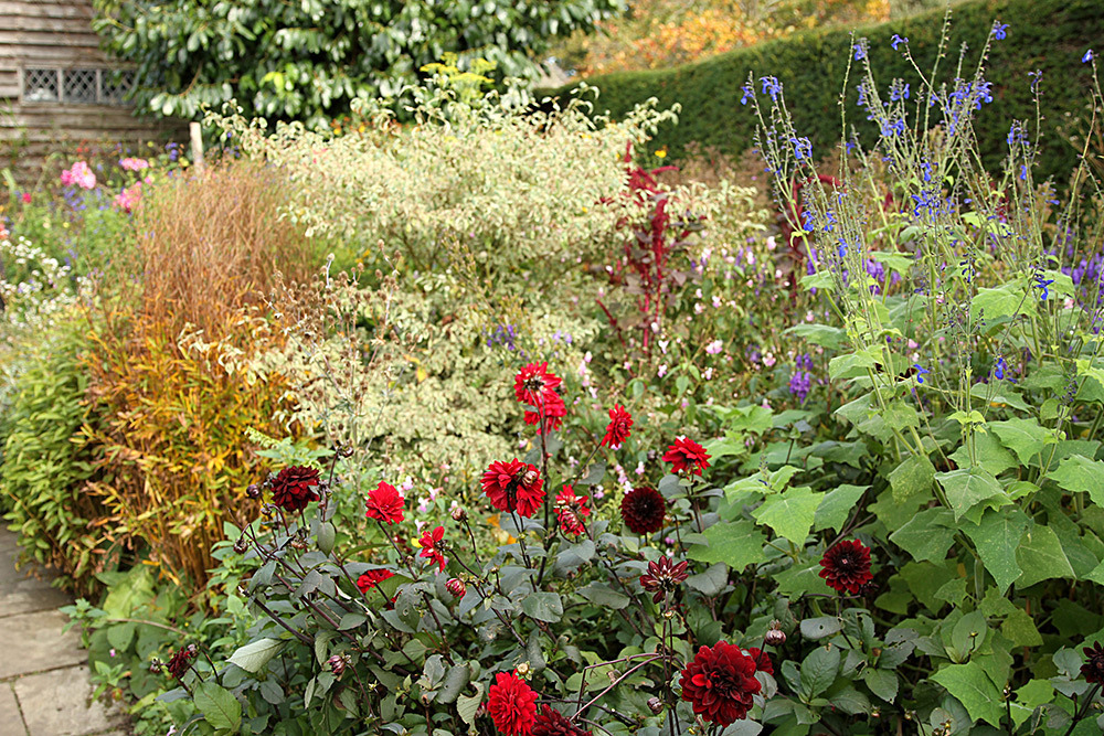 050_IMG_0028 - Great Dixter garden, autumn 2019