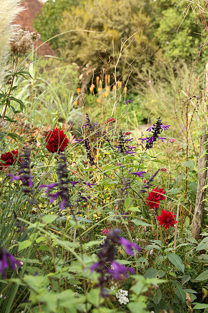 065_IMG_0031 - Great Dixter garden, autumn 2019