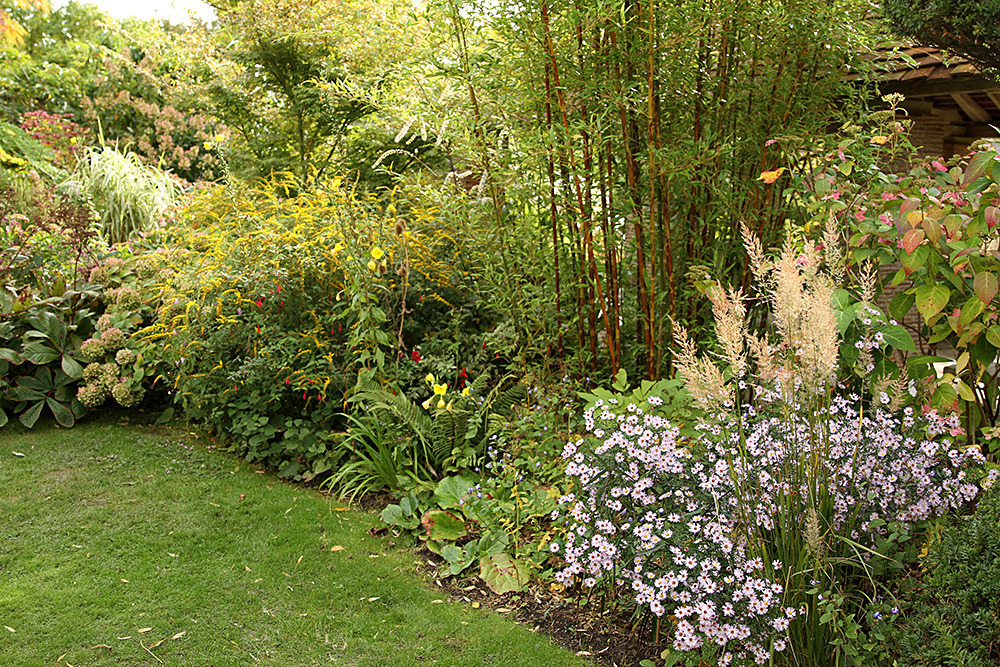 120_IMG_0043 - Great Dixter garden, autumn 2019