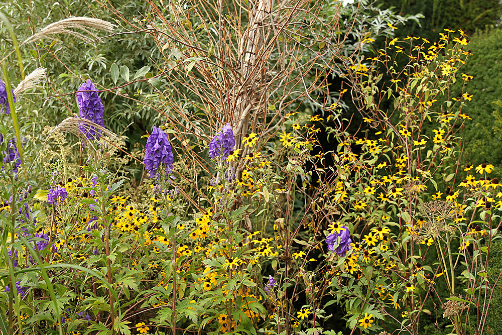 190_IMG_0064 - Great Dixter garden, autumn 2019