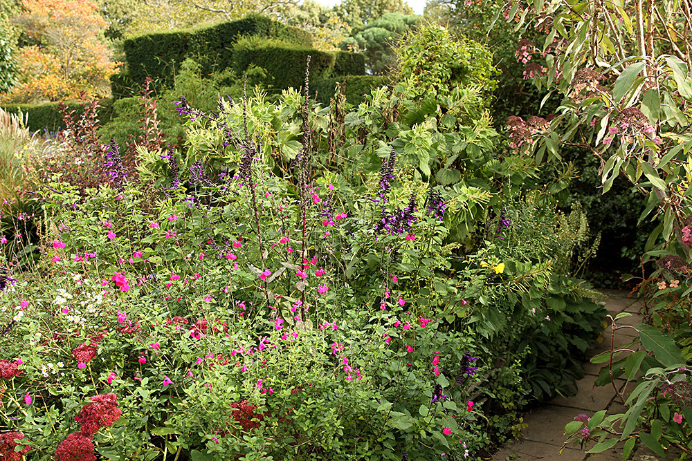 105_IMG_0040 - Great Dixter garden, autumn 2019