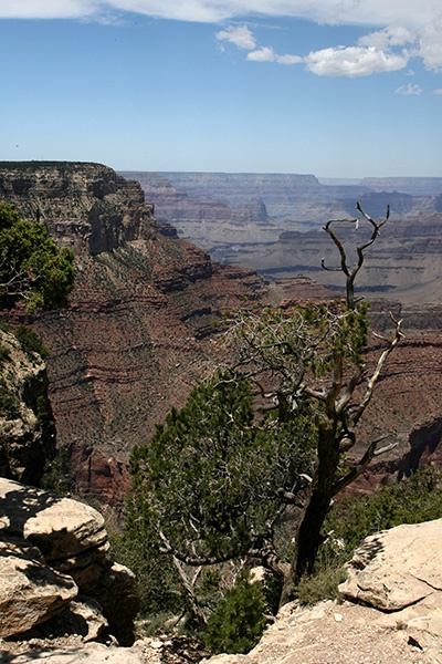 RT5B7016 - California and Arizona 2010
