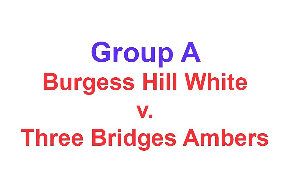  - Action: Group A: Burgess Hill White, Cuckfield United, Oakwood, Three Bridges Ambers