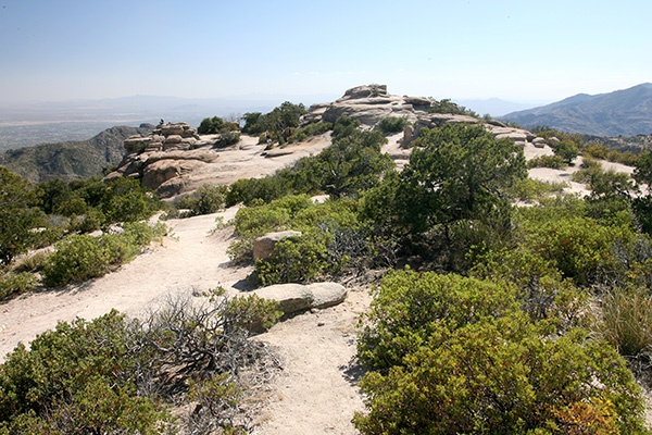 RT5B7184 - California and Arizona 2010