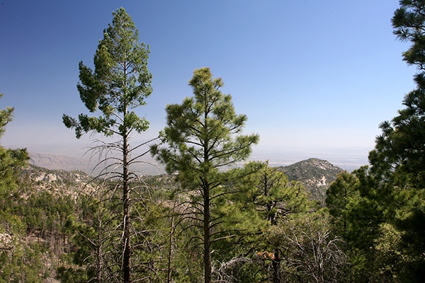 RT5B7172 - California and Arizona 2010
