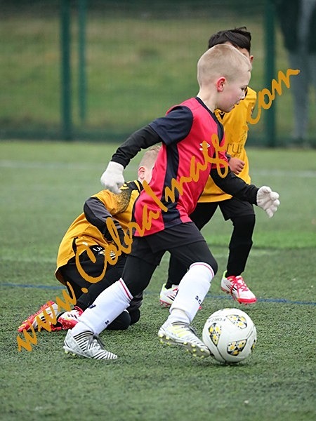 B_081 - Action: Group B: Burgess Hill Blacks, Cuckfield Cosmos, Maidenbower Colts, Three Bridges Blacks
