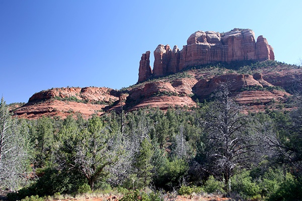 RT5B6860 - California and Arizona 2010