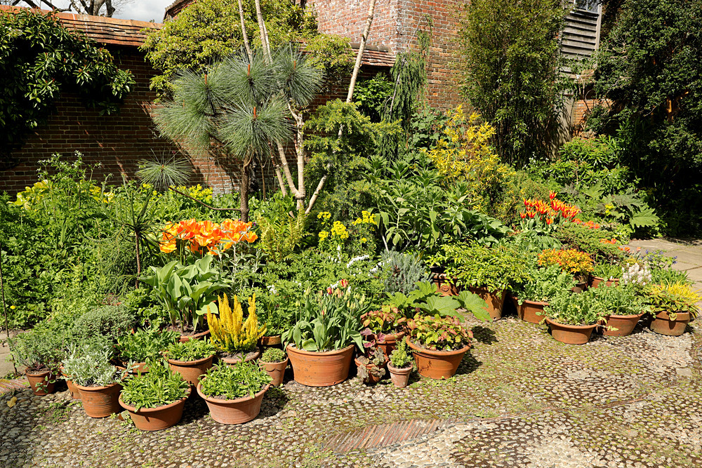 AW1I5186 - Great Dixter April 2024