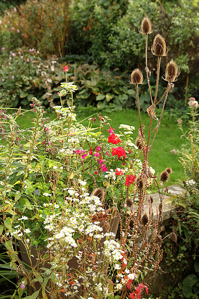 075_IMG_0033 - Great Dixter garden, autumn 2019