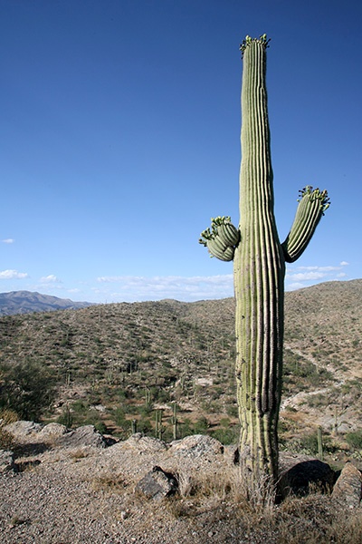 RT5B7146 - California and Arizona 2010