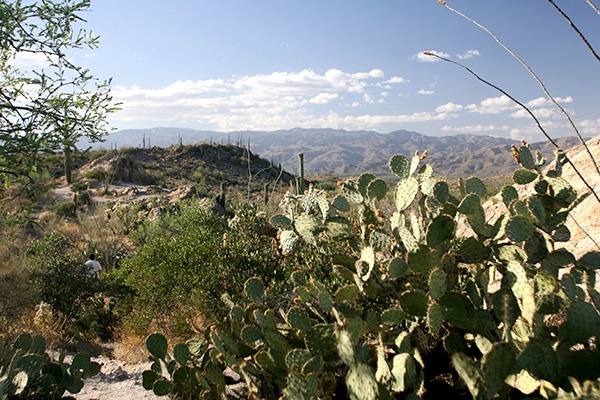 RT5B7152 - California and Arizona 2010