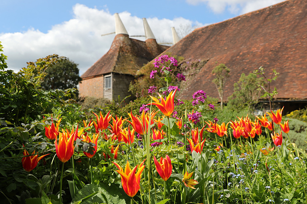 AW1I5155 - Great Dixter April 2024