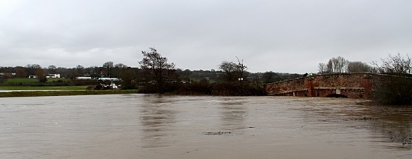 IMG_6590 - Bodiam, Christmas Eve 2013