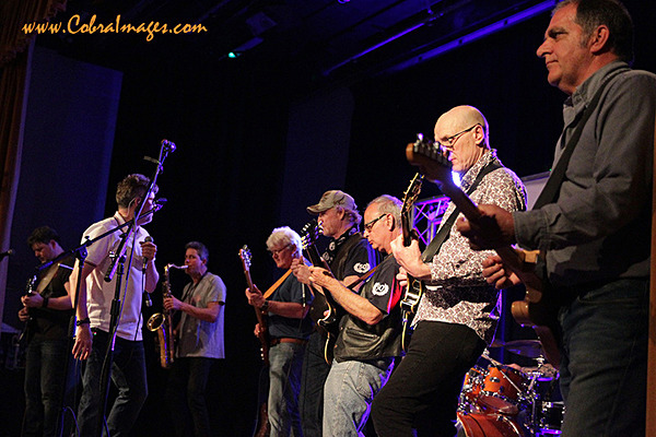 AF0I0106 - Never Too Late and Los Habituales