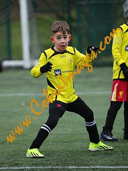 B_036 - Action: Group B: Burgess Hill Blacks, Cuckfield Cosmos, Maidenbower Colts, Three Bridges Blacks