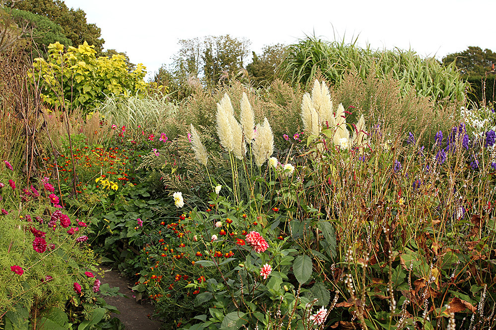 195_IMG_0066 - Great Dixter garden, autumn 2019
