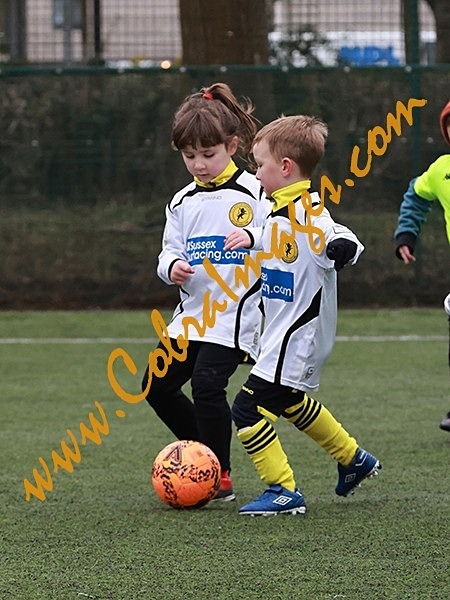 A_172 - Action: Group A: Burgess Hill White, Cuckfield United, Oakwood, Three Bridges Ambers