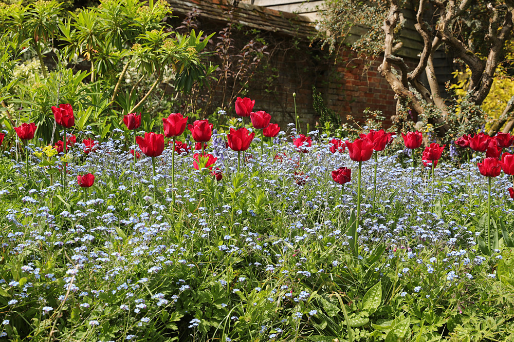 AW1I5163 - Great Dixter April 2024