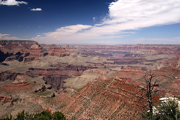 RT5B7048 - California and Arizona 2010