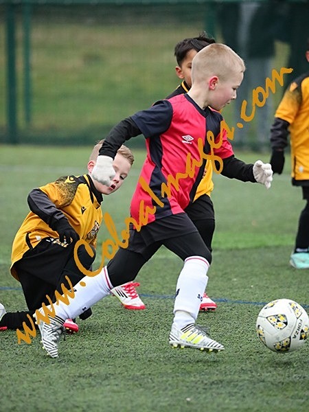 B_082 - Action: Group B: Burgess Hill Blacks, Cuckfield Cosmos, Maidenbower Colts, Three Bridges Blacks