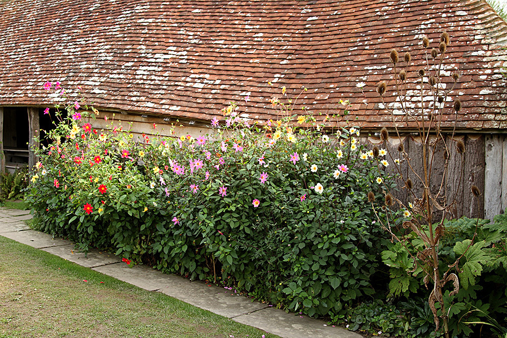 150_IMG_0054 - Great Dixter garden, autumn 2019