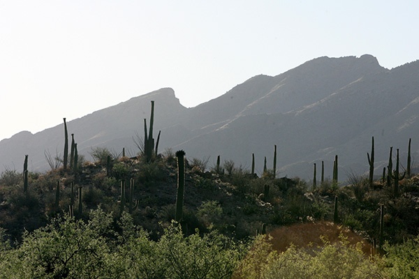 RT5B7234 - California and Arizona 2010
