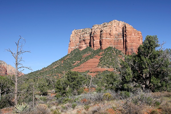 RT5B6868 - California and Arizona 2010