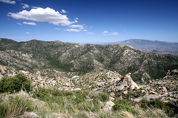 RT5B7177 - California and Arizona 2010