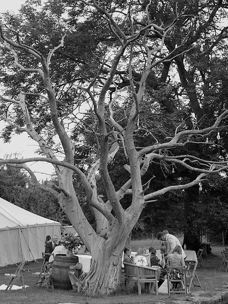 Dane_AF0I0077bw - The Party