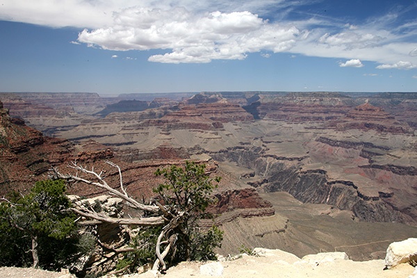 RT5B7012 - California and Arizona 2010