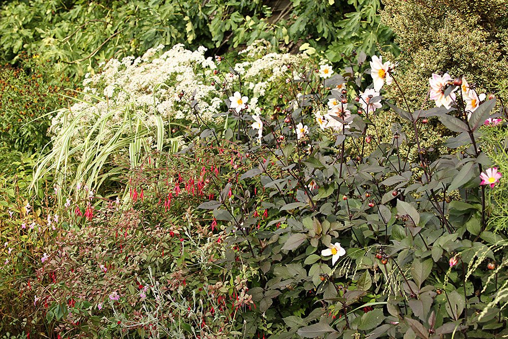 070_IMG_0032 - Great Dixter garden, autumn 2019