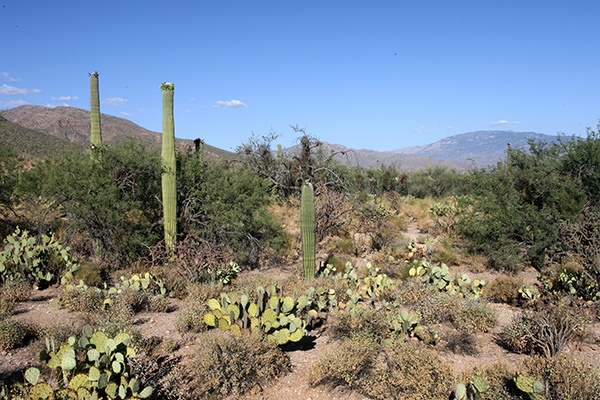 RT5B7217 - California and Arizona 2010