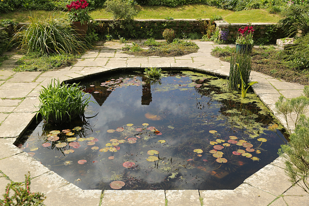 AW1I5159 - Great Dixter April 2024