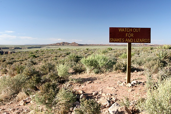 RT5B7127 - California and Arizona 2010
